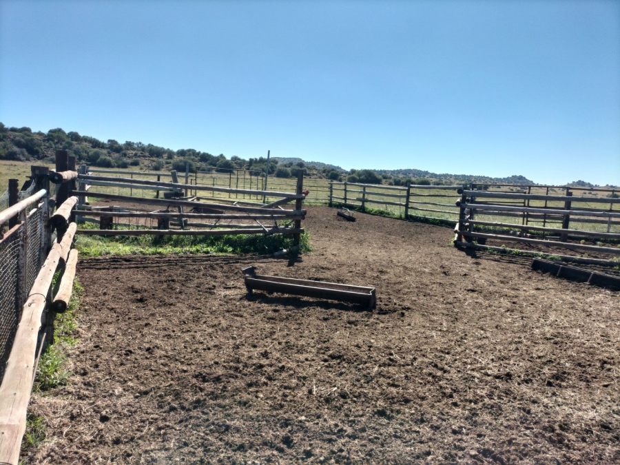 4 Bedroom Property for Sale in Bloemfontein Rural Free State
